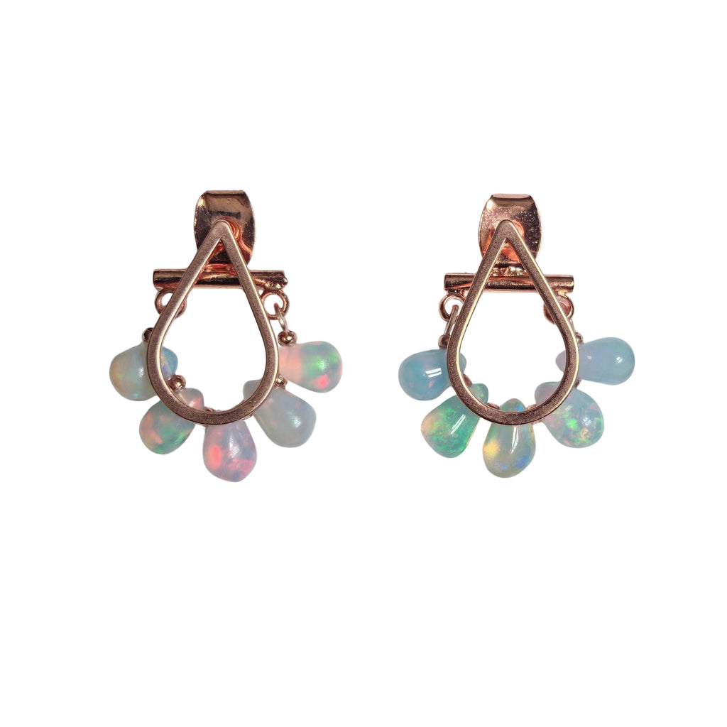 Rose Gold Edition 19.1.8 ( Cool-Toned Palette)