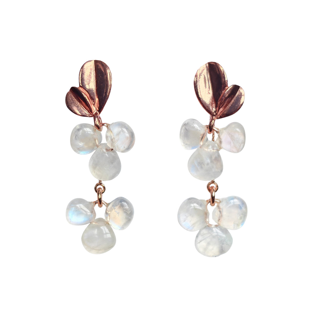 Rose Gold Edition 12